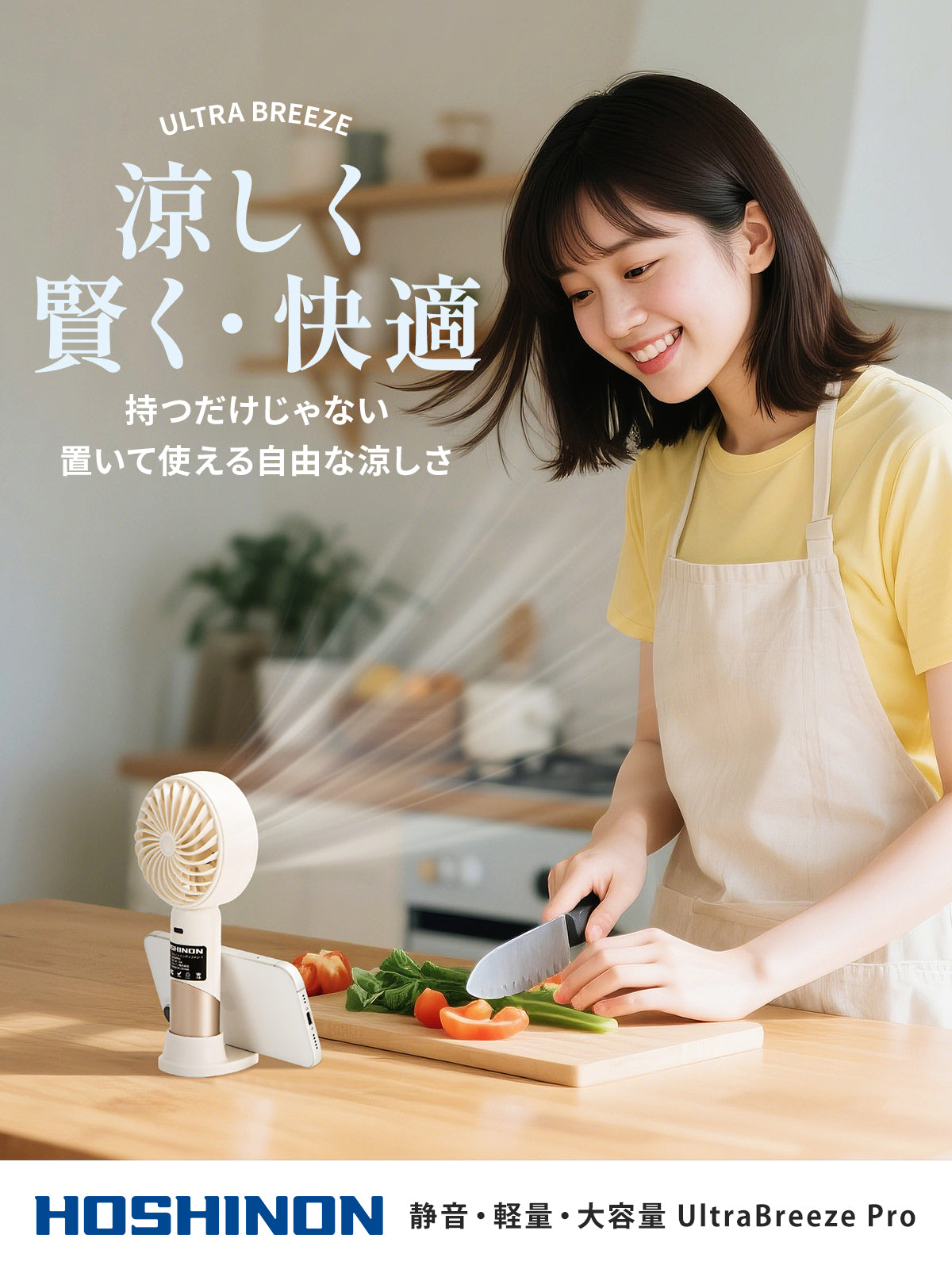 ホシノン ハンディファン 1