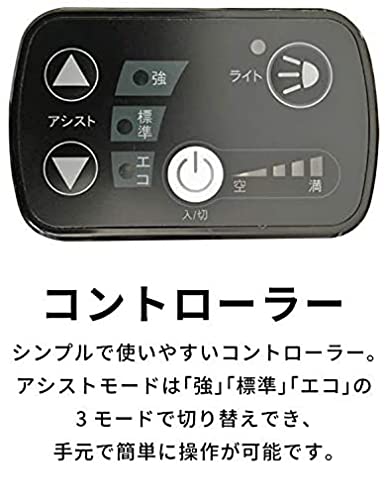 PELTECH(ペルテック) 折り畳み電動アシスト自転車 20インチ折り畳み外装6段変速 【簡易組立必要品】(TDN-208L) (ライムグリーン×ブラック)