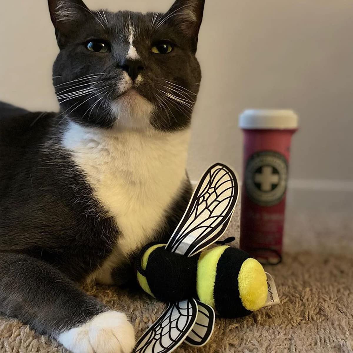 Meowijuana | Honey Bee Bundle | Get Buzzed Refillable Bee Wand Toy and Honeysuckle Haze Catnip Blend | Promotes Play and Cat Health | Includes Organic Catnip